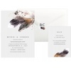 feathers