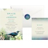 tui