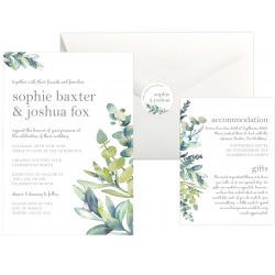 eucalyptus